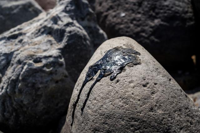 Crude oil residue is seen on a rock at a fishing pier in Boca del Rio, near Veracruz, Mexico, on March 25, 2026. The Mexican government said on March 25 that it has removed 128 tons of crude oil residue from the Gulf of Mexico following a spill first reported in early March. (Photo by Victoria Razo / AFP)