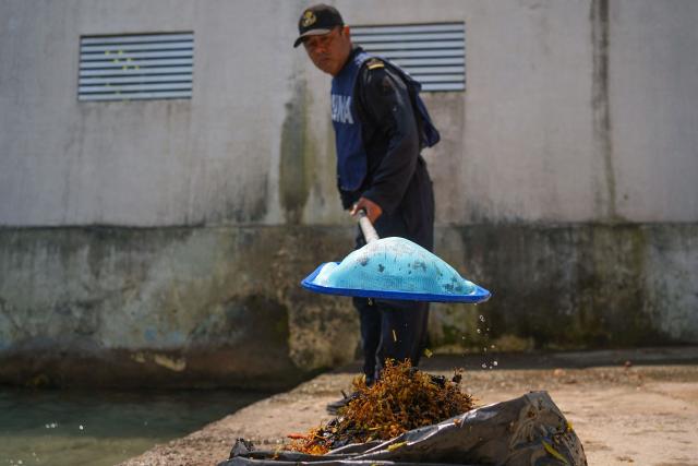 A member of the Navy carries out cleanup operations in Boca del Rio, Veracruz state, Mexico, on March 25, 2026. The Mexican government said on March 25 that it has removed 128 tons of crude oil residue from the Gulf of Mexico following a spill first reported in early March. (Photo by Victoria Razo / AFP)