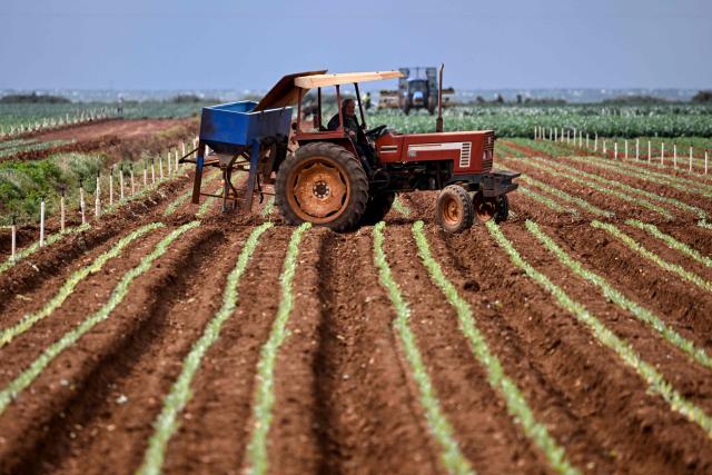 A tractor tends crops in a market garden on the outskirts of Melbourne on March 26, 2026. Soaring global oil prices have prompted warnings that high fuel prices will drive food prices up and inflation above 5 per cent in Australia. (Photo by William WEST / AFP)