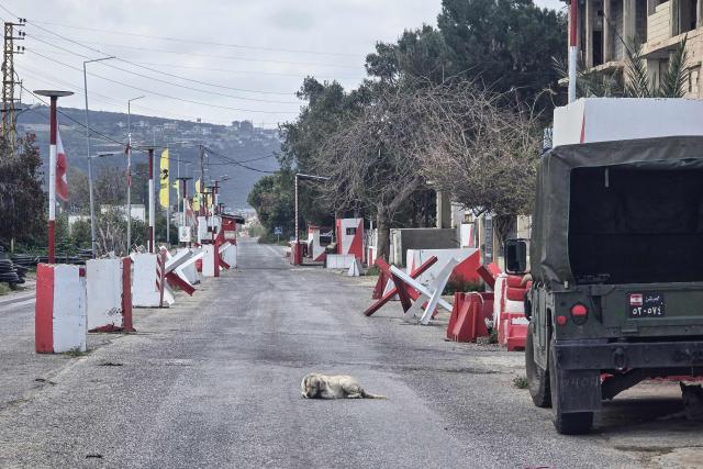 A dog lies an empty road outside a Lebanese army outpost in the area of Naqura in southern Lebanon on March 27, 2026. Lebanon was drawn into the Middle East war on March 2 when Tehran-backed Hezbollah began firing rockets into Israel to avenge the killing of the Iranian supreme leader. Israel has since been bombing Lebanon, mainly in areas where Hezbollah has long held sway, and has sent in ground troops in a push to establish a buffer zone in south Lebanon. (Photo by KAWNAT HAJU / AFP)