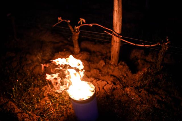This photograph shows an anti-frost candle displayed in a vineyard to keep temperatures above zero degrees celsius and prevent vines from freezing, in Saint-Emilion, south-western France on March 27, 2026, as a cold wave hits the region. The announced frost episode during the night pushed winegrowers to take measures to protect their vines. (Photo by Christophe ARCHAMBAULT / AFP)