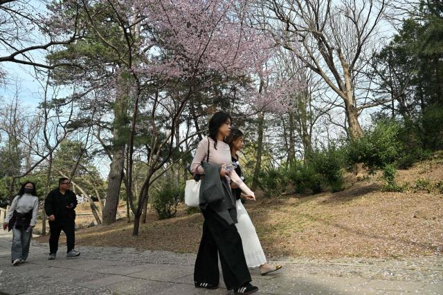 People visit the Summer Palace or Yiheyuan as flowers bloom during the Spring season in Beijing on March 27, 2026. (Photo by ADEK BERRY / AFP)
