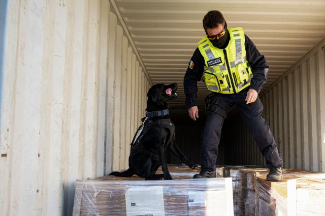 A French customs' officer and French customs sniffer dog take part in a demonstration to inspect the cargo inside an intermodal container during the visit of France's junior Minister for Public Accounts at the Grand Port Maritime of Marseille, southeastern France on March 27, 2026.  (Photo by Elodie CLEMENT / AFP)