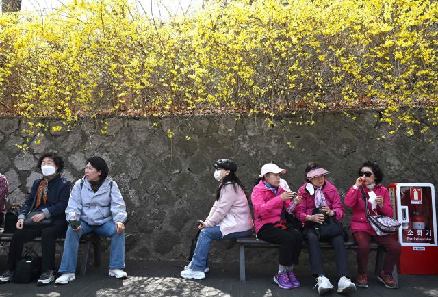 People take a rest beneath yellow forsythia blossoms on a hillside in Seoul on March 28, 2026. (Photo by Jung Yeon-je / AFP)