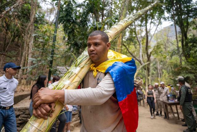 Palm frond pickers carry fronds as they arrive in the Waraira Repano National Park on the eve of Palm Sunday in Caracas on March 28, 2026. Hundreds of palm frond pickers descend from El Avila hill after spending a week collecting the fronds that will be used in the Palm Sunday and Holy Week masses. (Photo by Maryorin Mendez / AFP)