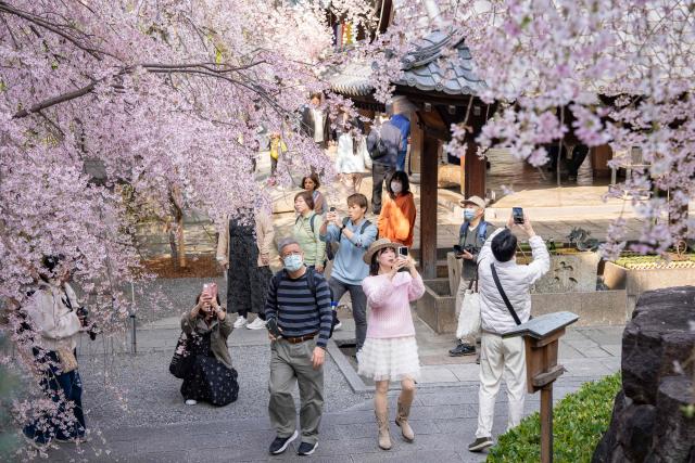 People photograph cherry blossom trees at Rokkakudo temple in Kyoto on March 29, 2026. (Photo by Yuichi YAMAZAKI / AFP)