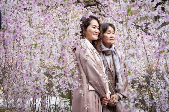 People pose in front of cherry blossom trees at Rokkakudo temple in Kyoto on March 29, 2026. (Photo by Yuichi YAMAZAKI / AFP)