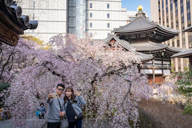 People take selfies with cherry blossoms at Rokkakudo temple in Kyoto on March 29, 2026. (Photo by Yuichi YAMAZAKI / AFP)