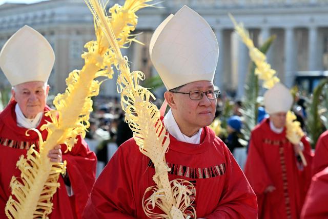 Cardinals take part in a procession as part of a mass for Palm Sunday by Pope Leo XIV at St Peter's square in the Vatican on March 29, 2026. (Photo by Tiziana FABI / AFP)