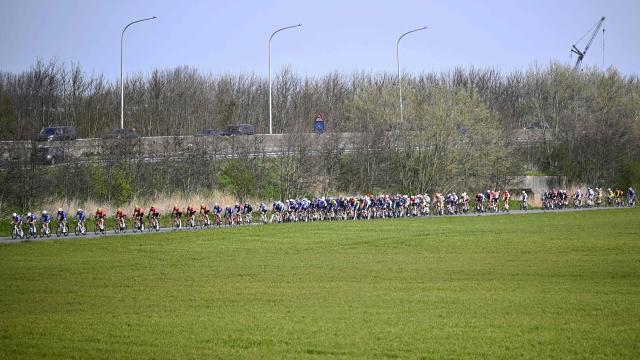 The pack of riders cycles during the men elite 'Middelkerke-Wevelgem - In Flanders Fields' one day cycling race, 240,8 km from Middelkerke to Wevelgem, on March 29, 2026. (Photo by JASPER JACOBS / Belga / AFP) / Belgium OUT