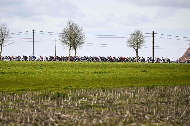The pack of riders cycles during the men elite 'Middelkerke-Wevelgem - In Flanders Fields' one day cycling race, 240.8 km from Middelkerke to Wevelgem, on March 29, 2026. (Photo by JASPER JACOBS / Belga / AFP) / Belgium OUT