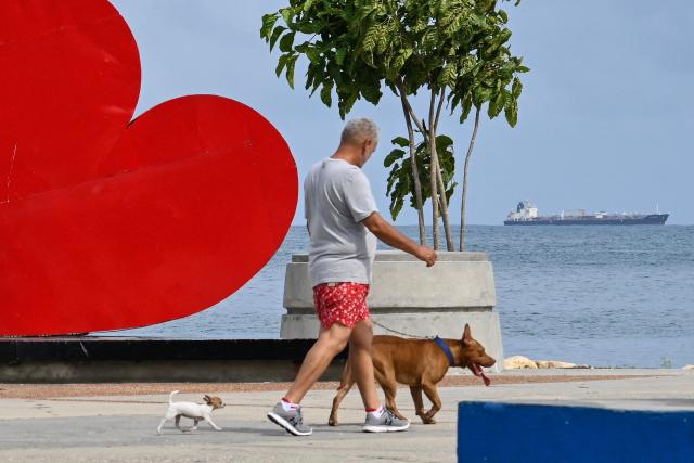 A man with two dogs walks as the crude oil tanker Sea Horse, flag of Hong Kong and carrying about 200,000 barrels of Russia-origin fuel originally bound for Cuba, is seen in the background while anchored off the coast of Puerto Cabello, Venezuela, on March 29, 2026. (Photo by Maryorin Mendez / AFP)