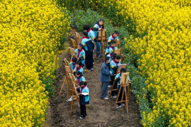 Students take part in an outdoor drawing activity in a rapeseed field during the spring break in Jiangyan District, Taizhou, in China's eastern Jiangsu province, on April 1, 2026. (Photo by CN-STR / AFP) / China OUT