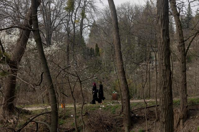 People walk through a Botanical Garden in Kyiv on April 1, 2026, amid the Russian invasion of Ukraine. (Photo by Tetiana DZHAFAROVA / AFP)