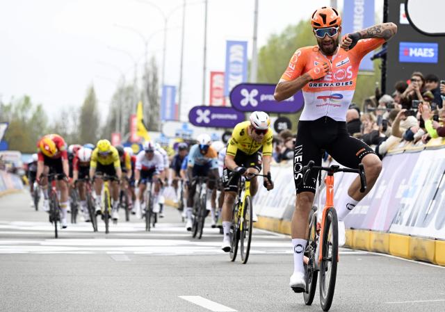INEOS Grenadiers' Italian rider Filippo Ganna celebrates as he crosses the finish line to win the men's elite race of the Dwars door Vlaanderen cycling event, 184.6km from Roeselare to Waregem on April 1, 2026. (Photo by Tom Goyvaerts / BELGA / AFP) / Belgium OUT