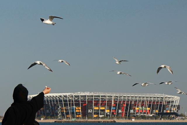 A woman feeds seagulls along the promenade against the backdrop of Stadium 974, in Mina district of Doha on April 1, 2026. (Photo by AFP)