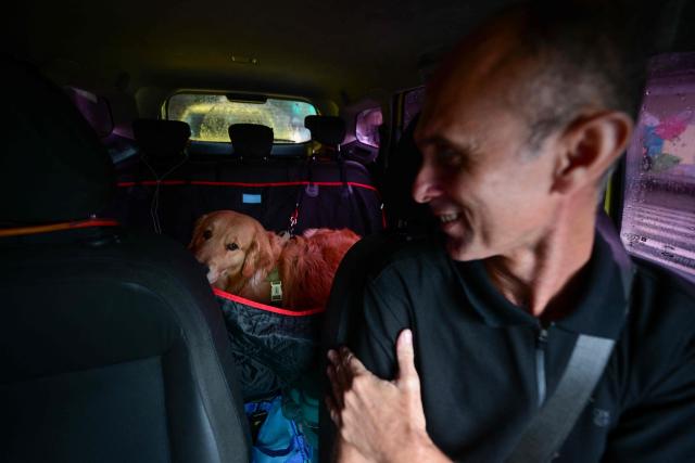 (FILES) Pet cab driver Walace Rodrigues talks to his passenger Oswaldo, a golden retriever dog, during a ride in the Jardim Botanico neighborhood, south zone of Rio de Janeiro, Brazil, on October 4, 2024. No more arguments over who gets the dog: A law passed by the Brazilian Congress will allow separating couples to share custody of their pets. The measure, approved by lawmakers on March 31, 2026, is viewed as reflecting the importance Brazilians place on their pets. (Photo by Mauro PIMENTEL / AFP)