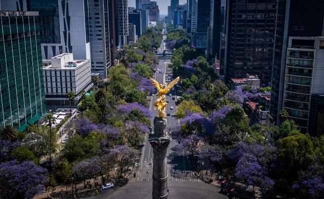 TOPSHOT - This aerial view shows jacaranda trees lining the street behind the Angel of Independence monument in Mexico City on April 1, 2026. (Photo by Carl de Souza / AFP)