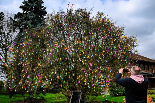 A man takes a photo of tree decorated with plastic Easter eggs at the 'Gertrudenhof' adventure farm for children in Huerth, western Germany on April 2, 2026, ahead of the Easter celebrations. (Photo by Ina FASSBENDER / AFP)