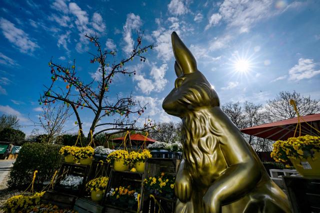 An oversized Easter bunny decorates the 'Gertrudenhof' adventure farm for children in Huerth, western Germany on April 2, 2026, ahead of the Easter celebrations. (Photo by Ina FASSBENDER / AFP)
