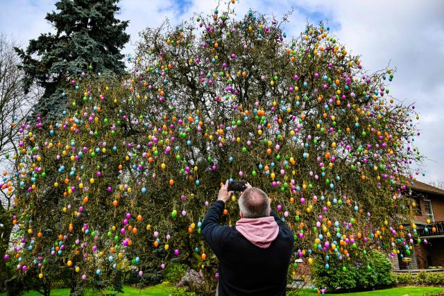 A man takes a photo of a tree decorated with plastic Easter eggs at the 'Gertrudenhof' adventure farm for children in Huerth, western Germany on April 2, 2026, ahead of the Easter celebrations. (Photo by Ina FASSBENDER / AFP)