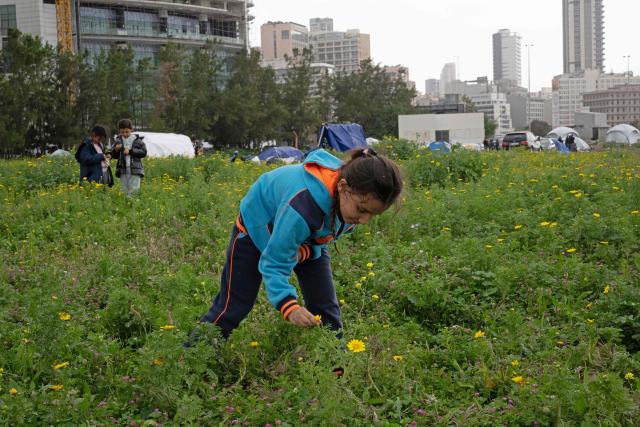 A displaced girl plucks flowers near her tent at an unofficial camp for displaced people on Beirut's waterfront area on April 2, 2026. Lebanon was drawn into the Middle East war on March 2 when Tehran-backed militant group Hezbollah launched attacks on Israel to avenge the killing of the Iranian leader. Israel has responded with broad strikes across Lebanon and a ground offensive. (Photo by Joseph EID / AFP)
