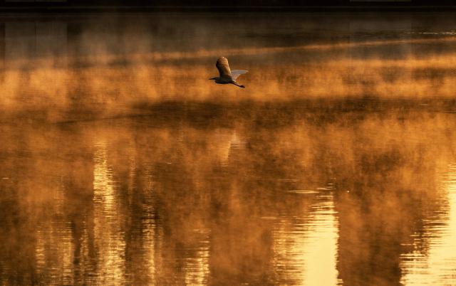 A bird flies as steam rises from a lake in Chapultepec park in Mexico City on April 2, 2026. (Photo by Carl de Souza / AFP)