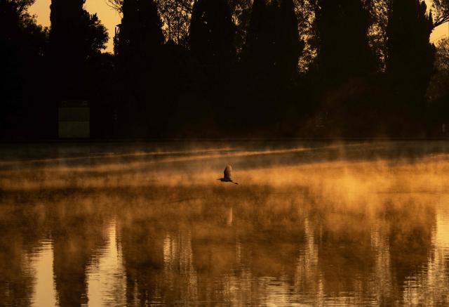 A bird flies as steam rises from a lake in Chapultepec park in Mexico City on April 2, 2026. (Photo by Carl de Souza / AFP)