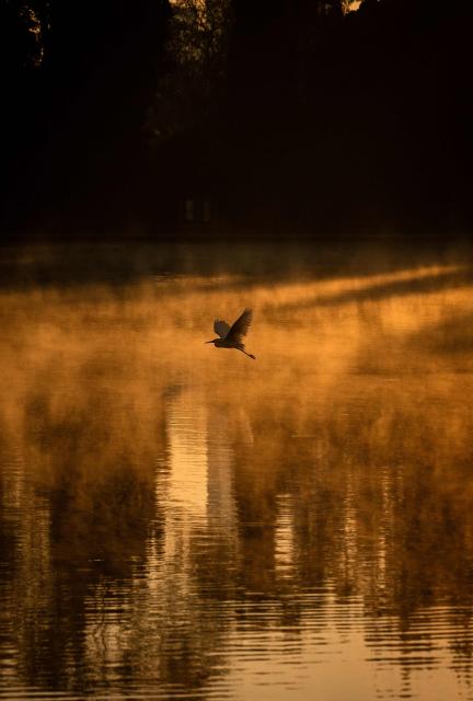 A bird flies as steam rises from a lake in Chapultepec park in Mexico City on April 2, 2026. (Photo by Carl de Souza / AFP)