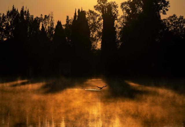 A bird flies as steam rises from a lake in Chapultepec park in Mexico City on April 2, 2026. (Photo by Carl de Souza / AFP)