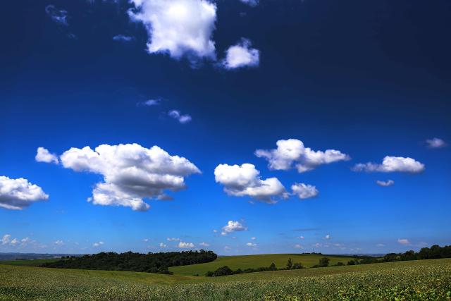 A soybean field is pictured in Roda Velha, Rio Grande do Sul state, Brazil, on April 2, 2026. (Photo by SILVIO AVILA / AFP)