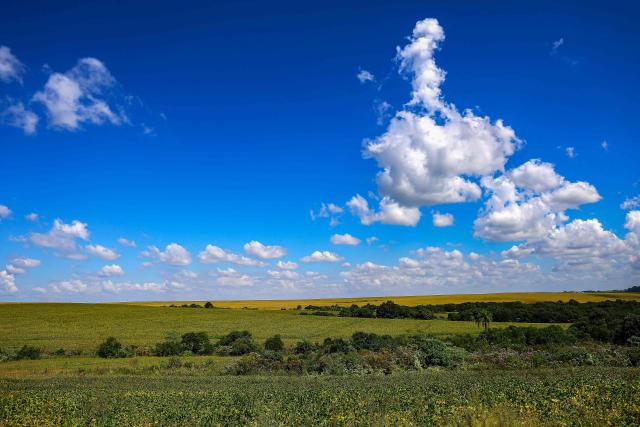 A soybean field is pictured in Salto do Jacui, Rio Grande do Sul state, Brazil, on April 2, 2026. (Photo by SILVIO AVILA / AFP)