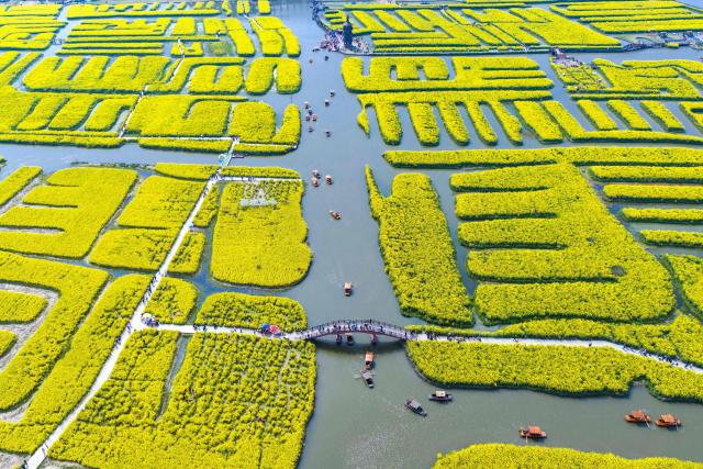People view rapeseed flowers in a scenic area in Xinghua, in China’s eastern Jiangsu province on April 2, 2026. (Photo by CN-STR / AFP) / China OUT
