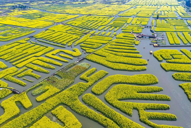 People view rapeseed flowers in a scenic area in Xinghua, in China’s eastern Jiangsu province on April 2, 2026. (Photo by CN-STR / AFP) / China OUT