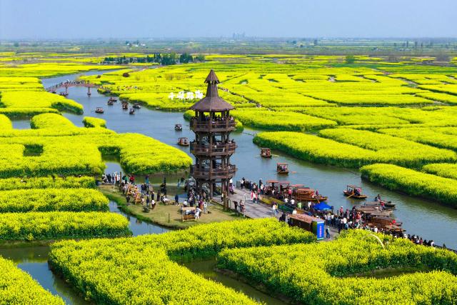 People view rapeseed flowers in a scenic area in Xinghua, in China’s eastern Jiangsu province on April 2, 2026. (Photo by CN-STR / AFP) / China OUT
