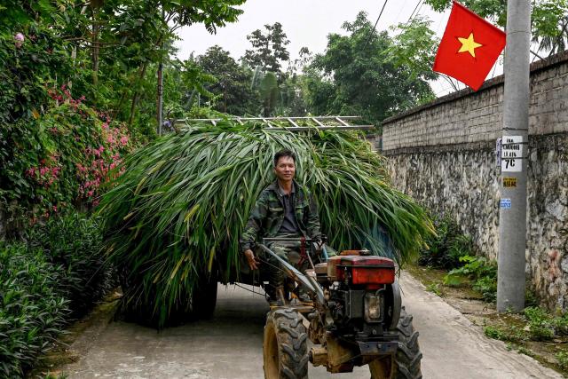 A man drives his farm vehicle loaded with grass in Hanoi on April 3, 2026. (Photo by Nhac NGUYEN / AFP)