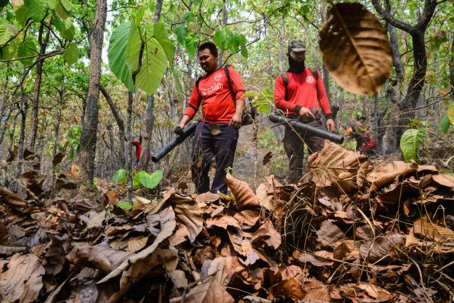 Volunteer firefighters use leaf blowers to create fire breaks in a forest in Pai on April 1, 2026, west of Thailand's second-largest city Chiang Mai. Seasonal agricultural burning, forest fires and weather patterns produce an annual pollution season across much of Southeast Asia. But parts of northern Thailand are seeing haze that even hardened locals say is exceptional. (Photo by ANTHONY WALLACE / AFP) / To go with 'Thailand-Pollution-Environment-Fire-Health' Reportage by Chayanit ITTHIPONGMAETEE