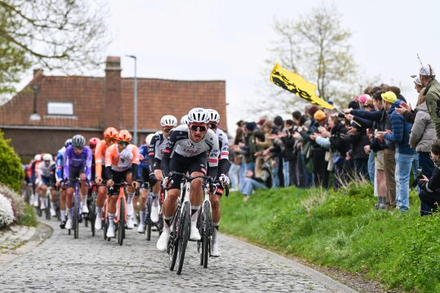 Danish Mikkel Bjerg of UAE Team Emirates' Danish rider Mikkel Bjerg leads the pack of riders (peloton) in the men's race of the 'Ronde van Vlaanderen/ Tour des Flandres/ Tour of Flanders' UCI WorldTour one day cycling race, 278 km from Antwerp to Oudenaarde, in Haaltert on April 5, 2026. (Photo by ELIAS ROM / Belga / AFP) / Belgium OUT