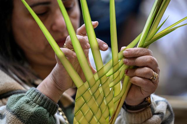 A Christian worshipper arranges a palm frond during mass at the Cave Church at the Coptic Orthodox Monastery of Simon the Tanner in the eastern hillside Mokkatam district of Cairo on Orthodox Palm Sunday on April 5, 2026. (Photo by Khaled DESOUKI / AFP)