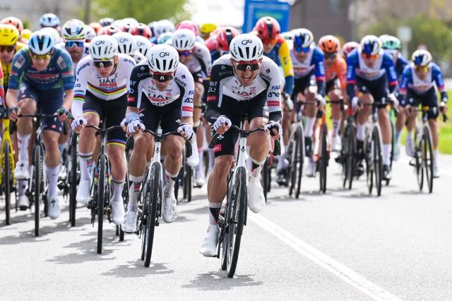 Danish Mikkel Bjerg of UAE Team Emirates' Danish rider Mikkel Bjerg leads the pack of riders (peloton) in the men's race of the 'Ronde van Vlaanderen/ Tour des Flandres/ Tour of Flanders' UCI WorldTour one day cycling race, 278 km from Antwerp to Oudenaarde, in Haaltert on April 5, 2026. (Photo by DAVID PINTENS / Belga / AFP) / Belgium OUT