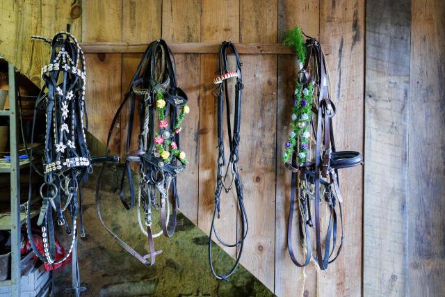 Sorbian horse bridles are prepared for the start of the procession on Easter Sunday, April 05, 2026 in Nausslitz eastern Germany. This ancient religious ritual involves Sorbs riding decorated horses while singing to announce the resurrection of Jesus Christ. The Sorbs are a Slavic minority residing in eastern Germany near the German-Polish border. (Photo by JENS SCHLUETER / AFP)