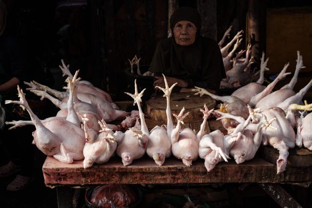 Plucked chickens are displayed for sale at a street stall in Jakarta on April 4, 2026. (Photo by YASUYOSHI CHIBA / AFP)