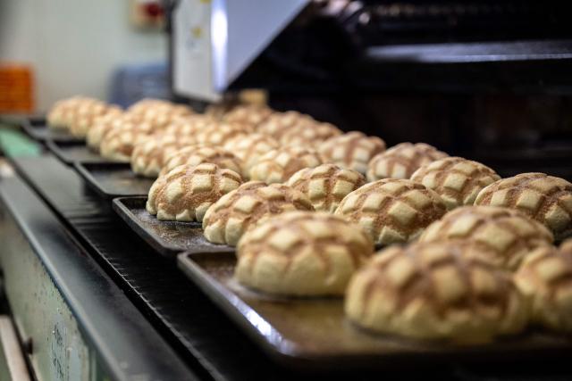Semi-finished Melonpan are seen on the production line during a media tour at the factory of Garden Bakery in Akishima city, the western portion of the Tokyo Metropolis on April 7, 2026. (Photo by Philip FONG / AFP)