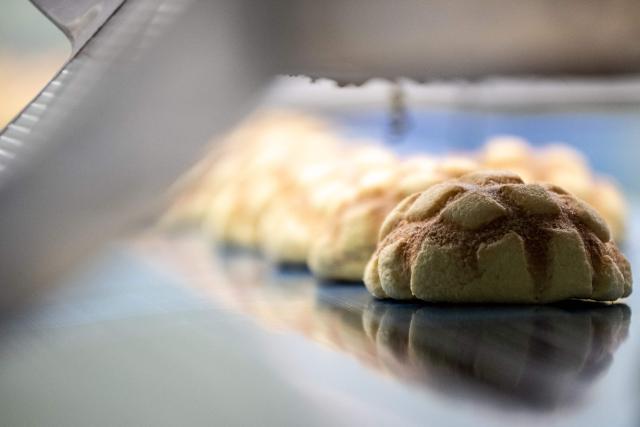Semi-finished Melonpan are seen on the production line during a media tour at the factory of Garden Bakery in Akishima city, the western portion of the Tokyo Metropolis on April 7, 2026. (Photo by Philip FONG / AFP)