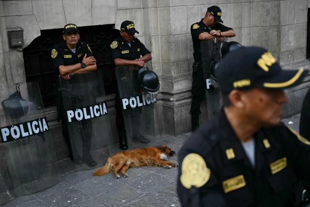 A dog sleeps in front of Peruvian police officers standing guard at the Presidential Palace in Lima on April 7, 2026. Peru will hold presidential elections on April 12, 2026. (Photo by Luis ROBAYO / AFP)