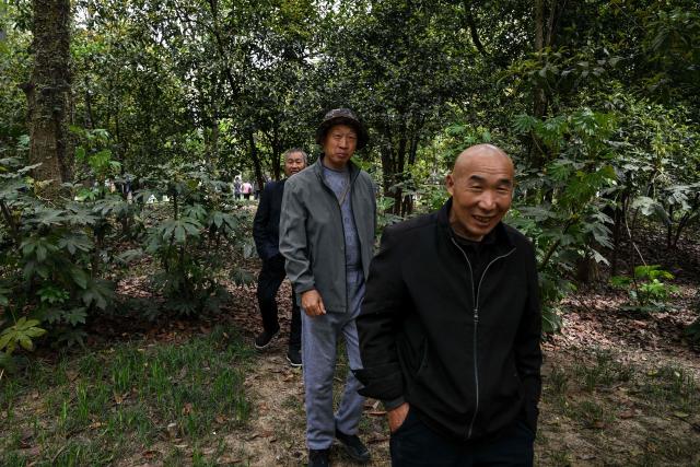 People visit Zhongshan Mountain National Park in Nanjing, in China's eastern Jiangsu province on April 8, 2026. (Photo by Hector RETAMAL / AFP)