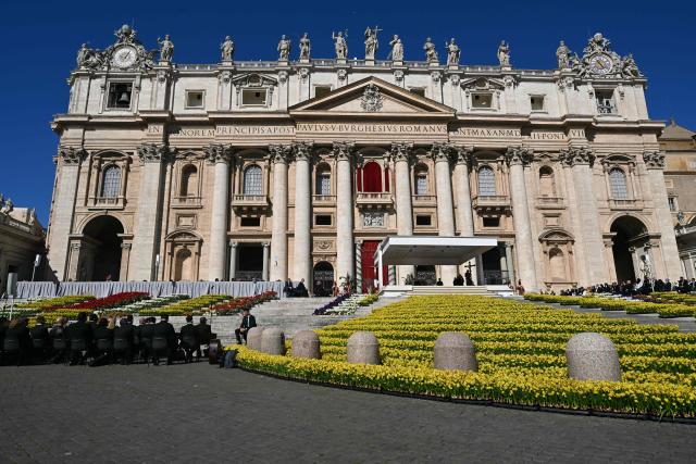 A general view shows the parvis of St Peter's basilica carpeted with daffodils during the weekly general audience in The Vatican on April 8, 2026. (Photo by Tiziana FABI / AFP)