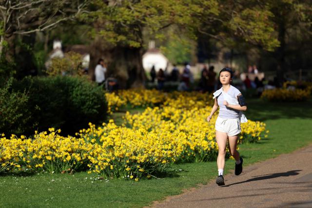 A person runs past Daffodils in St James park in London on April 8, 2026, as warm, sunny weather arrived in the capital, with a high temperature forecast in the mid-20s. (Photo by Toby Shepheard / AFP)
