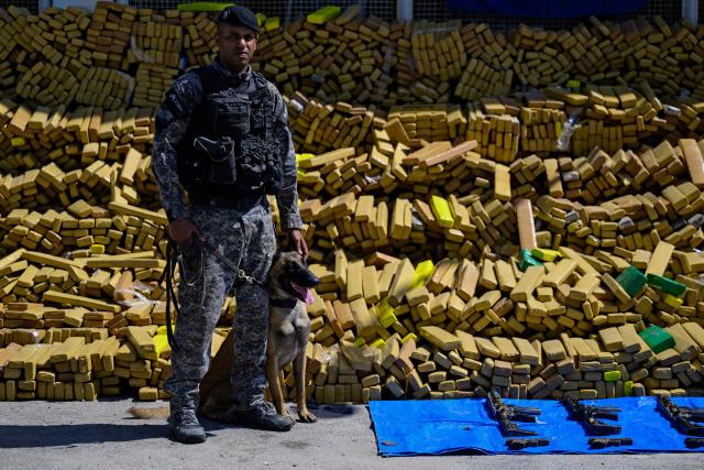Hulk, a police dog that took part in an operation in which 48 tons of marijuana were seized, poses in front of packages containing the drug and weapons at the City of Police in Rio de Janeiro, Brazil on April 8, 2026. During the operation in the Complexo da Mare, a large complex of favelas in the north of the city, a dog named Hulk indicated there was something suspicious under an abandoned water tank. An officer "discovered a bunker inside where this entire quantity of drugs had been hidden," said Lieutenant Colonel Luciano Pedro, commander of the Canine Operations Battalion. (Photo by Pablo PORCIUNCULA / AFP)