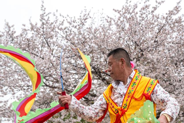 A man performs in a traditional ethnic folk dance from Northeast China at Ojima Komatsugawa Park to mark the cherry blossoms in full bloom in Tokyo on April 9, 2026. (Photo by Philip FONG / AFP)
